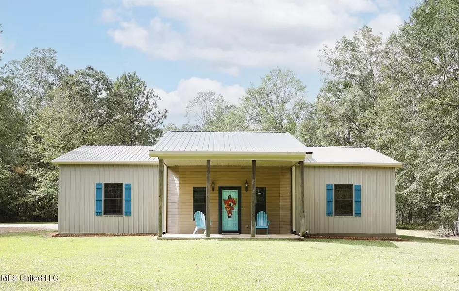 410 SW Doolittle Lane, Bogue Chitto, MS 39629