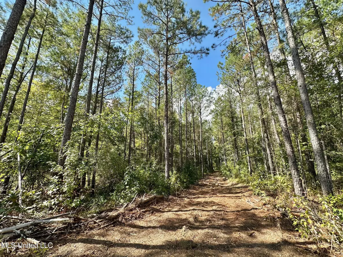 Florence, MS 39073,0 Bridges Road