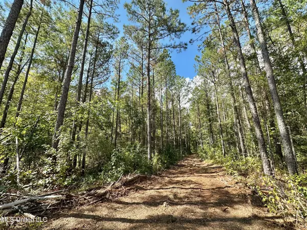 0 Bridges Road, Florence, MS 39073