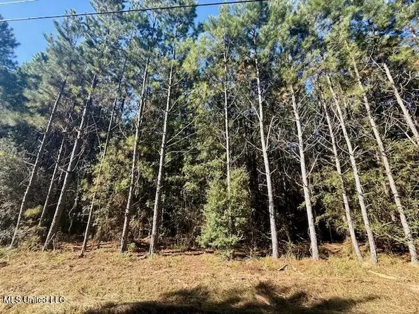 Bogue Chitto, MS 39629,Tuckers Drive Se