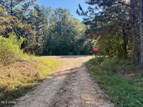 Bogue Chitto, MS 39629,Tuckers Drive Se