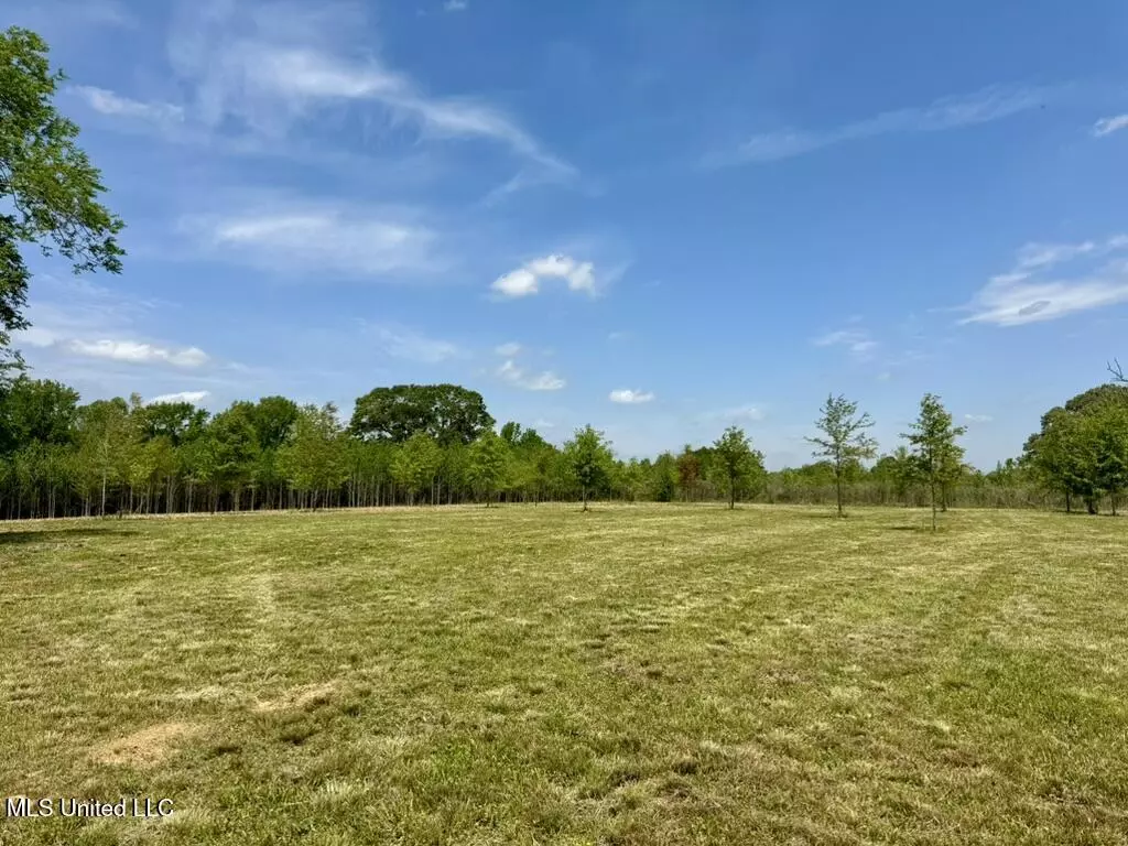 Canton, MS 39046,4 Windermere Boulevard