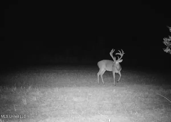 Canton, MS 39046,4 Windermere Boulevard