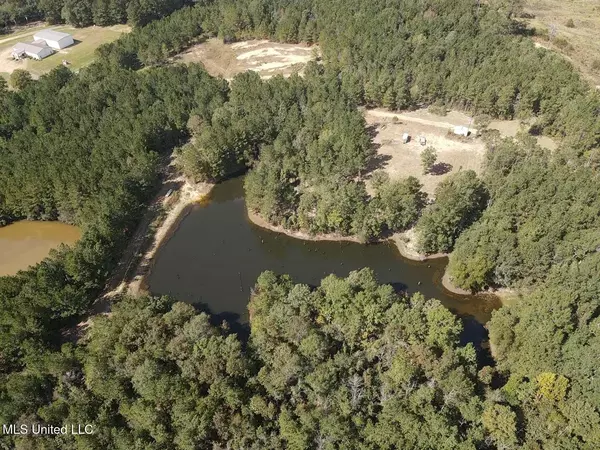 Wesson, MS 39191,1067 Williams Road