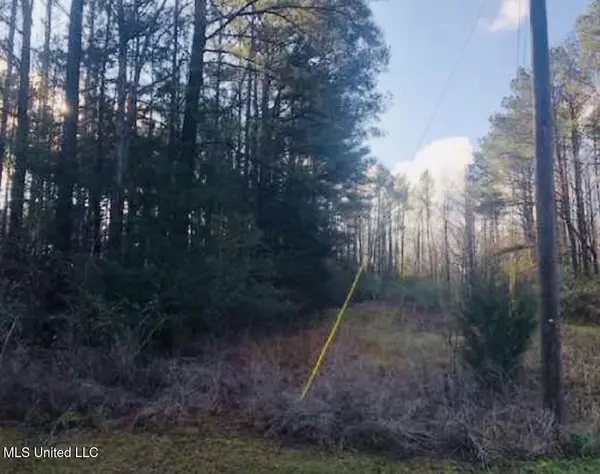 Canton, MS 39046,153 Deerwood Crossing