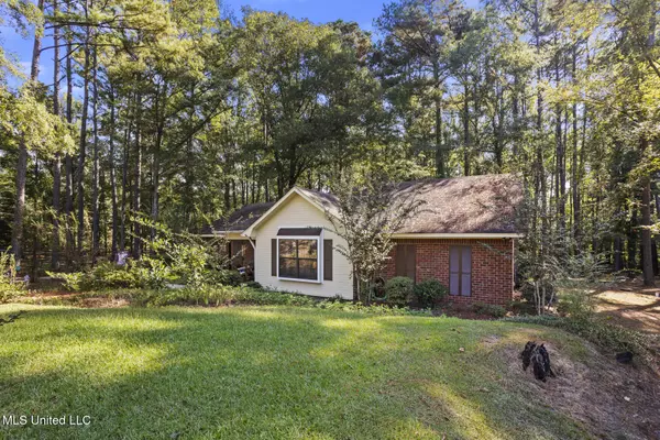 4201 Oak Hill Drive, Terry, MS 39170