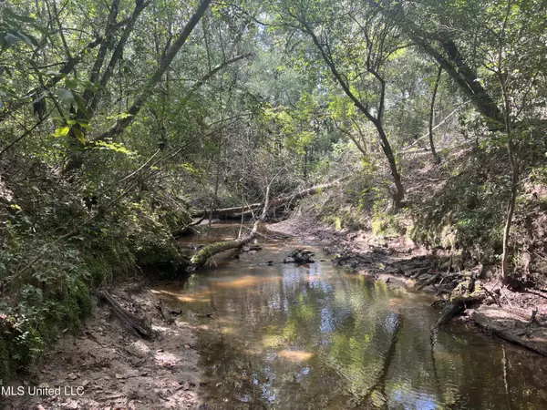 Beaumont, MS 39423,Little Creek Road