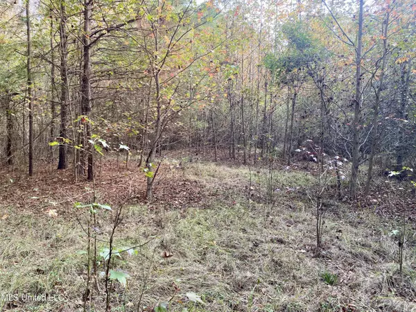 Massey Road, Kosciusko, MS 39090