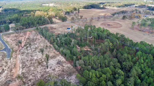 Lucedale, MS 39452,Brashier Lane