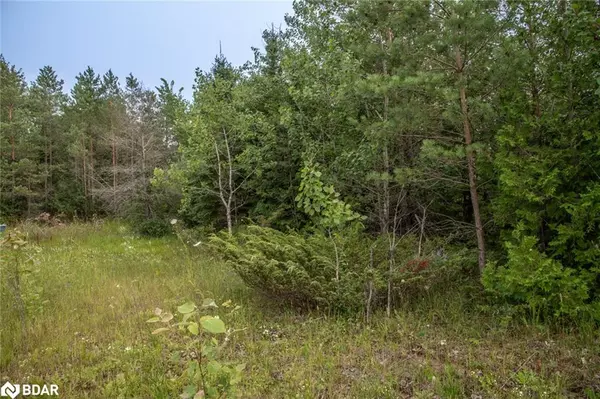 Kawartha Lakes, ON K0M 2B0,LOT 250 Mcguire Beach Road