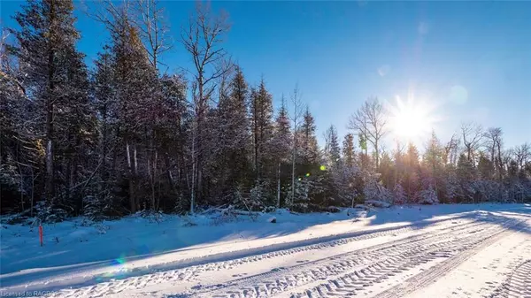 Northern Bruce Peninsula, ON N0H 1W0,LOT 8 Trillium Crossing