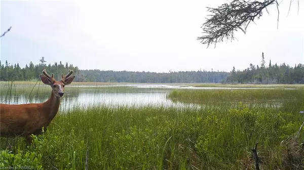 Northern Bruce Peninsula, ON N0H 1W0,58 Sadler Creek Road