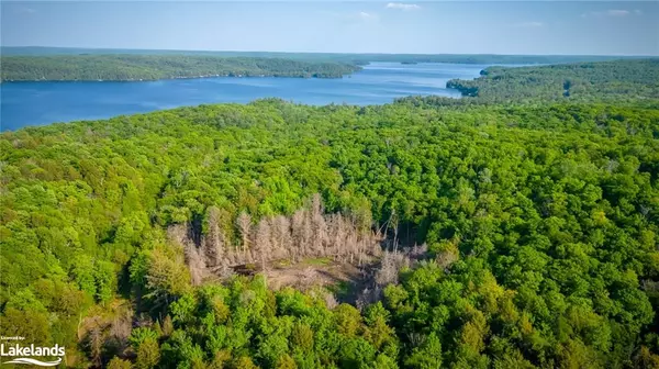 Lake Of Bays (twp), ON P1H 2J3,0 South Portage Road