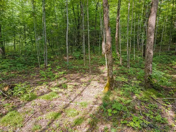 Grey Highlands, ON N0C 1E0,LOT 6 10th Concession