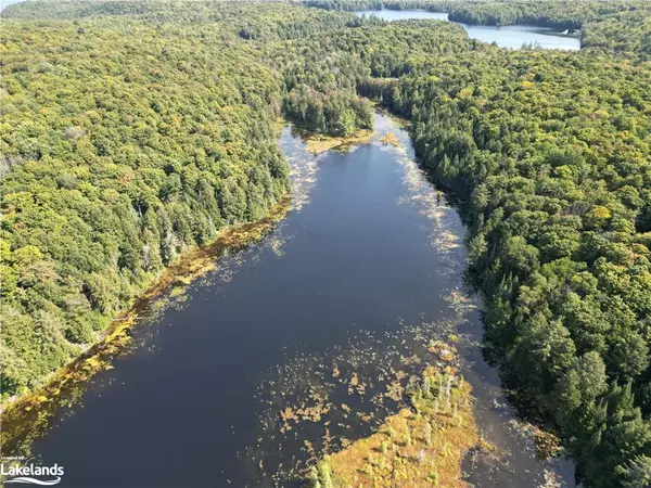 Haliburton, ON K0M 1S0,0 Bushwolf Lake Road