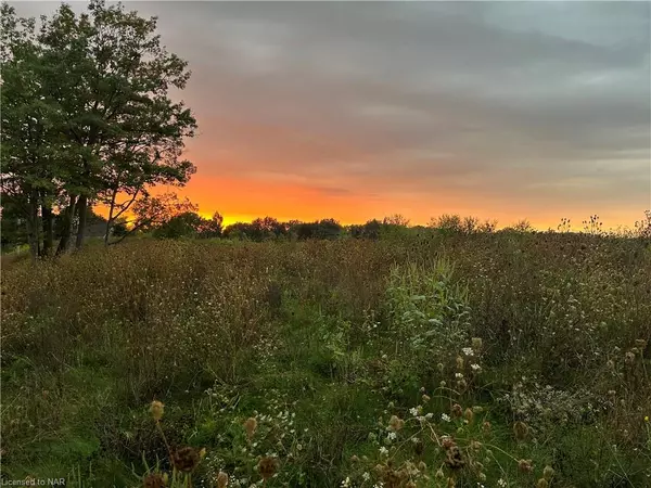 Vineland, ON L0R 2C0,N/A Spring Creek Road