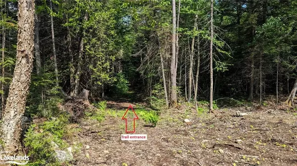 Lake Of Bays, ON P1H 2J6,LOT 2 Limberlost Road