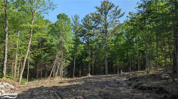 Lake Of Bays, ON P1H 2J6,LOT 2 Limberlost Road