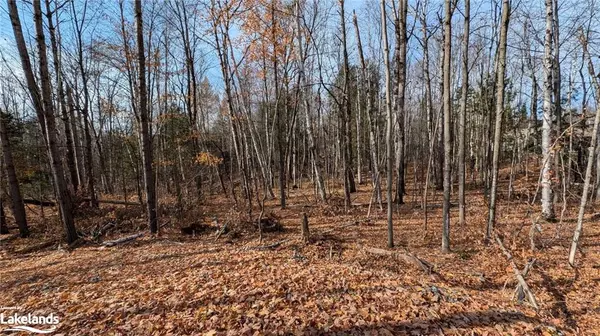 LOT 1 Tally Ho Winter Park Road, Lake Of Bays, ON P1H 2E5