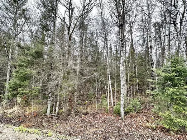 PT LOT 13 Janveau Road, Mattawa, ON P0H 1V0