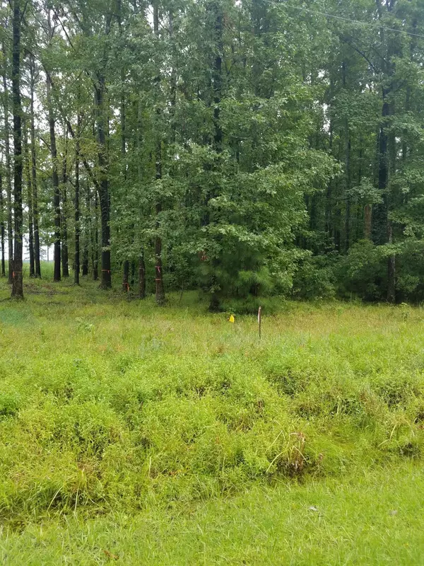 Belhaven, NC 27810,Lot 6 Timber LN