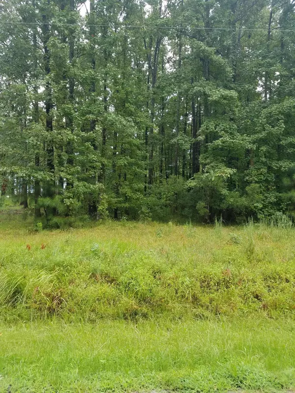 Belhaven, NC 27810,Lot 6 Timber LN