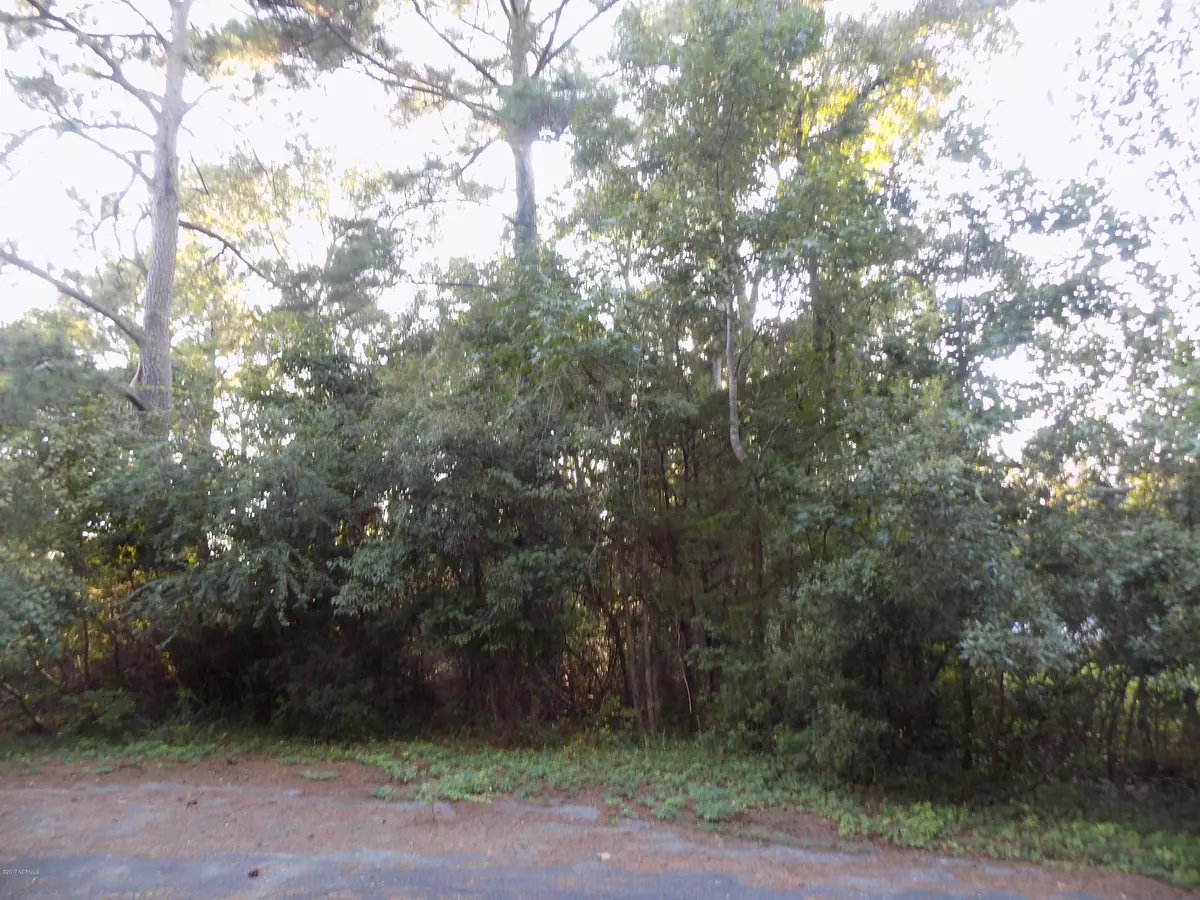 Shallotte, NC 28470,891 Forest Meadows CT SW