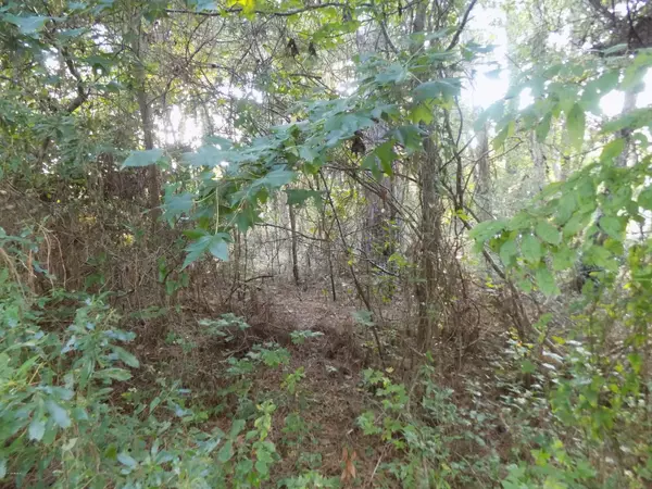 Shallotte, NC 28470,891 Forest Meadows CT SW