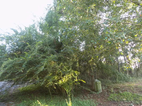 Shallotte, NC 28470,891 Forest Meadows CT SW