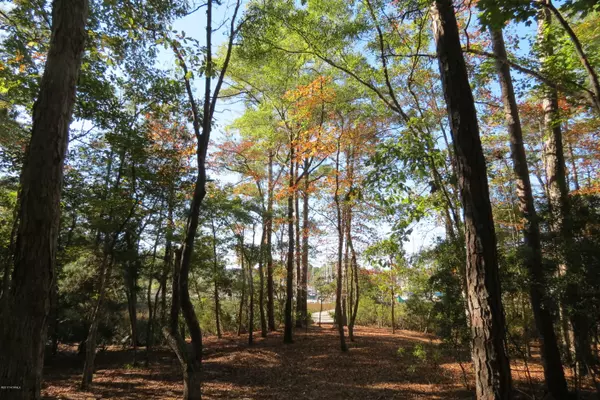 Oriental, NC 28571,410 Whittaker Point RD