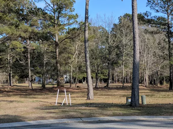 3399 Turnbuckle Lane, Southport, NC 28461