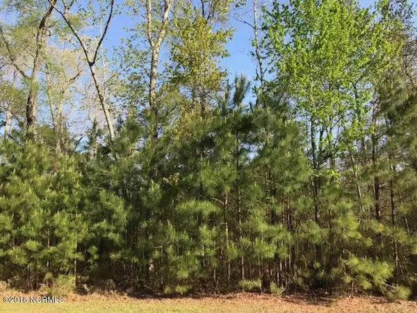 Lot 20 Ashton DR, Bath, NC 27808