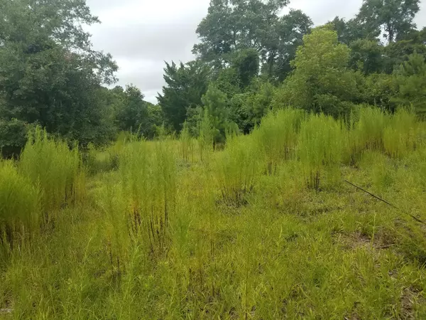 Supply, NC 28462,2710 Boones Neck RD SW