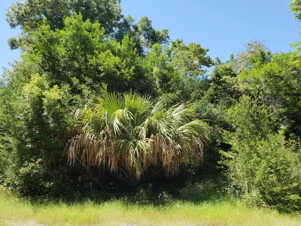 Bald Head Island, NC 28461,69 Farm Ridge Circle