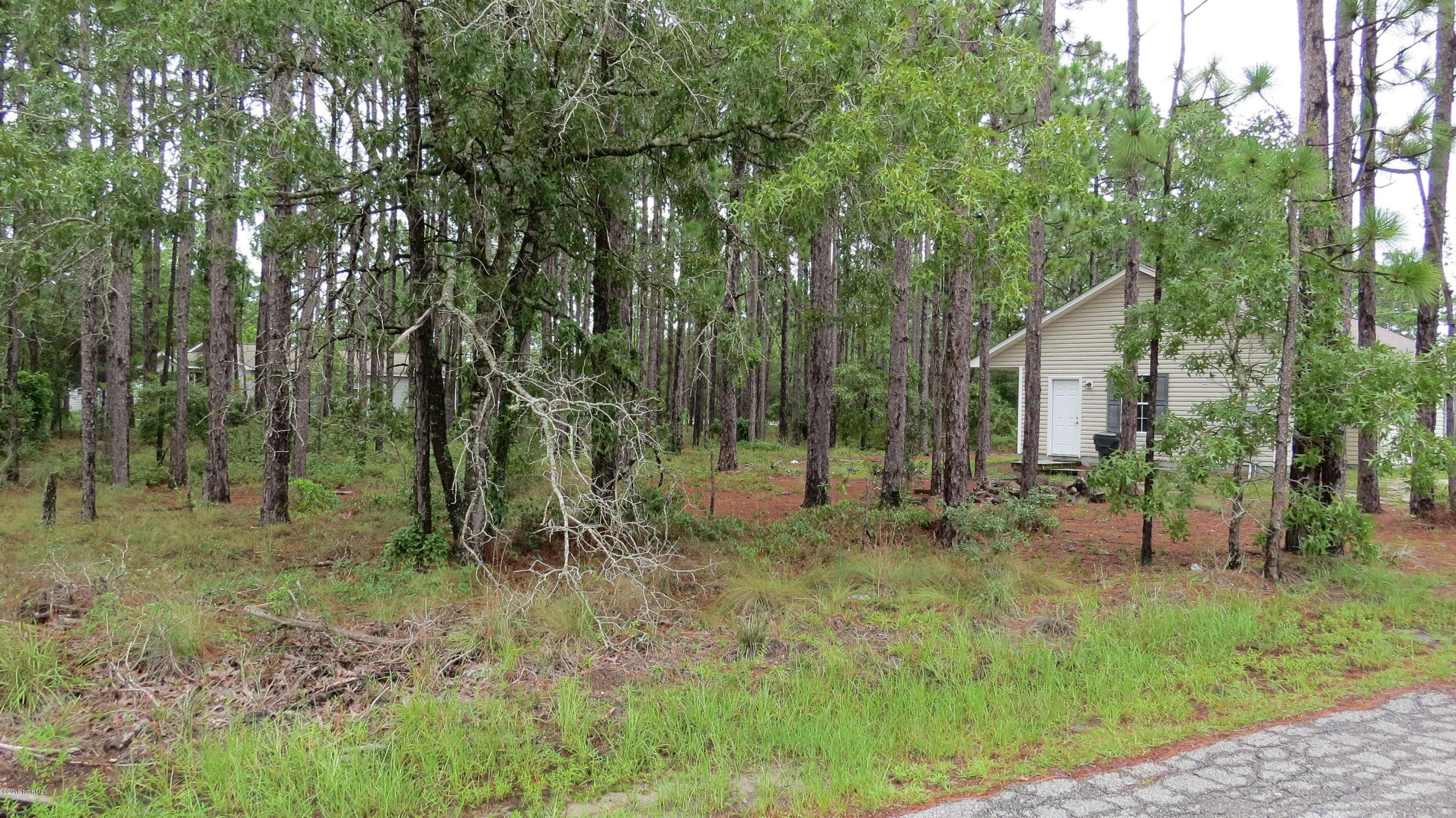 Southport, NC 28461,Lot 3 Shelby RD