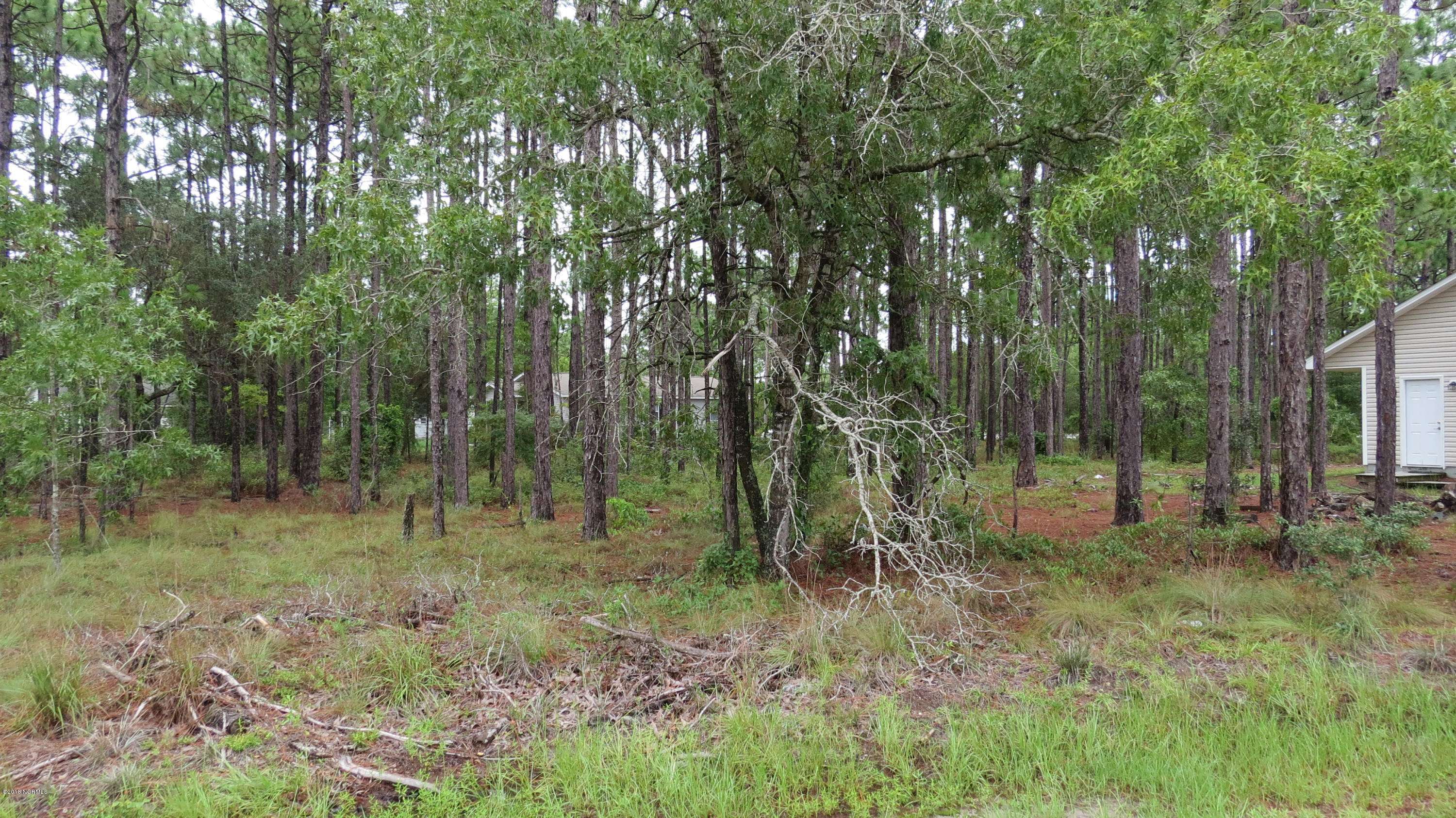 Southport, NC 28461,Lot 3 Shelby RD
