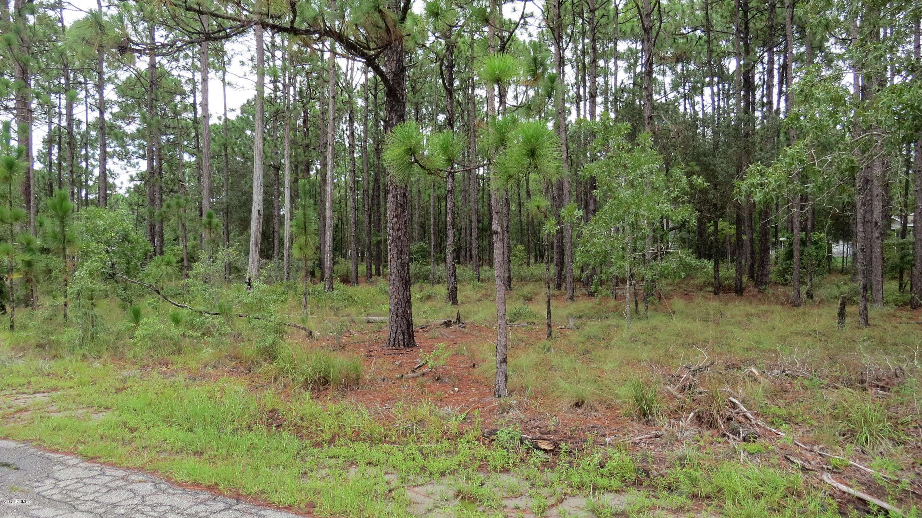 Southport, NC 28461,Lot 4 Shelby RD