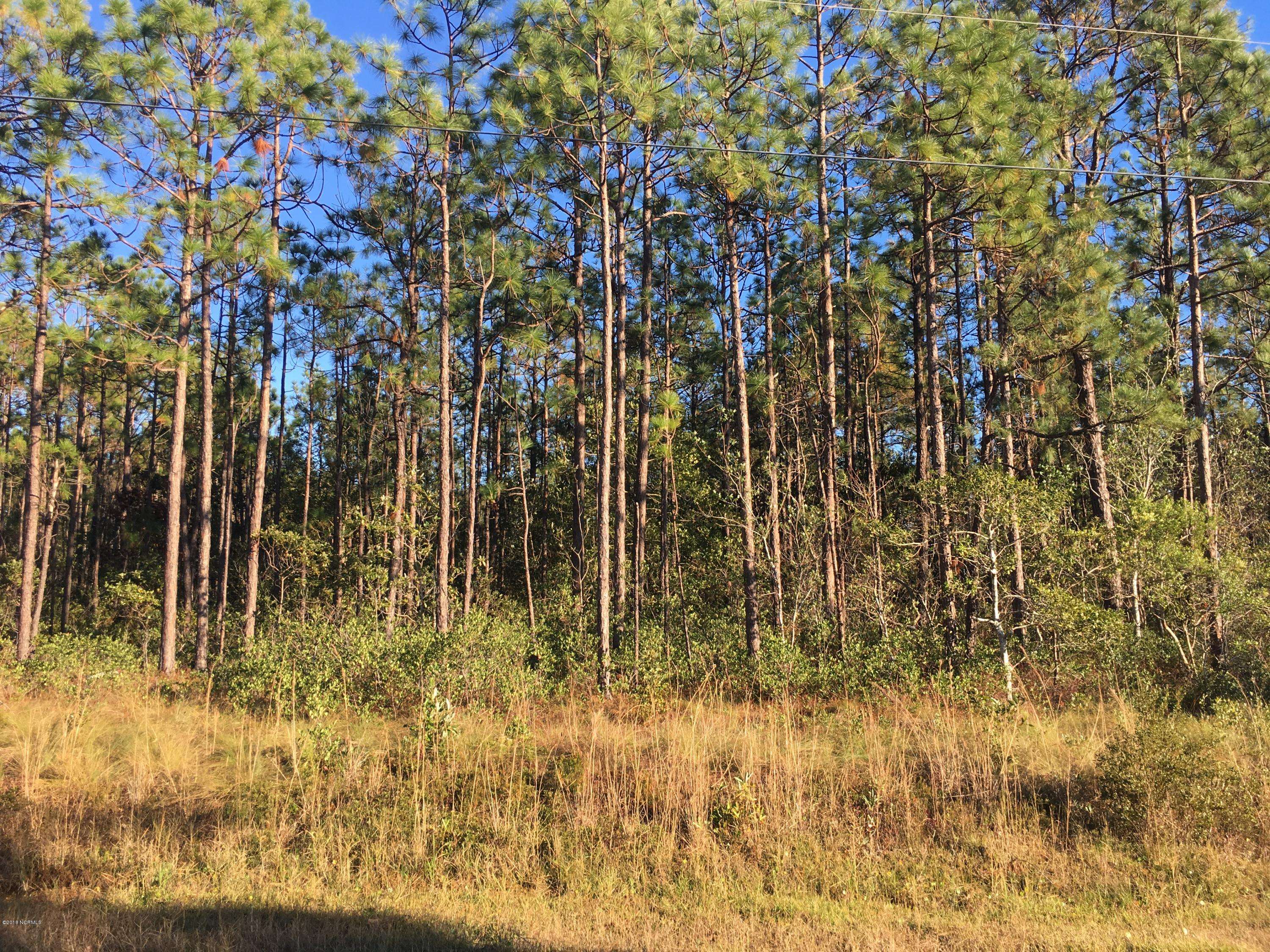 181 W South Shore DR, Southport, NC 28461