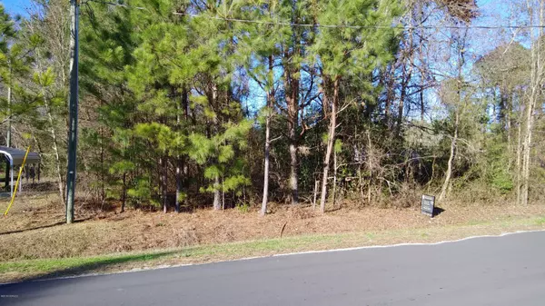 Lot 25 Big Four RD, Currie, NC 28435