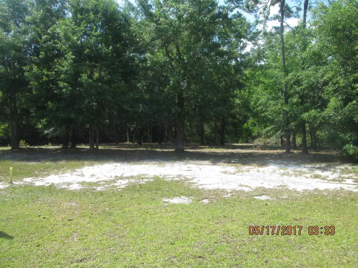 Bolivia, NC 28422,Lot 171 Judith DR SE