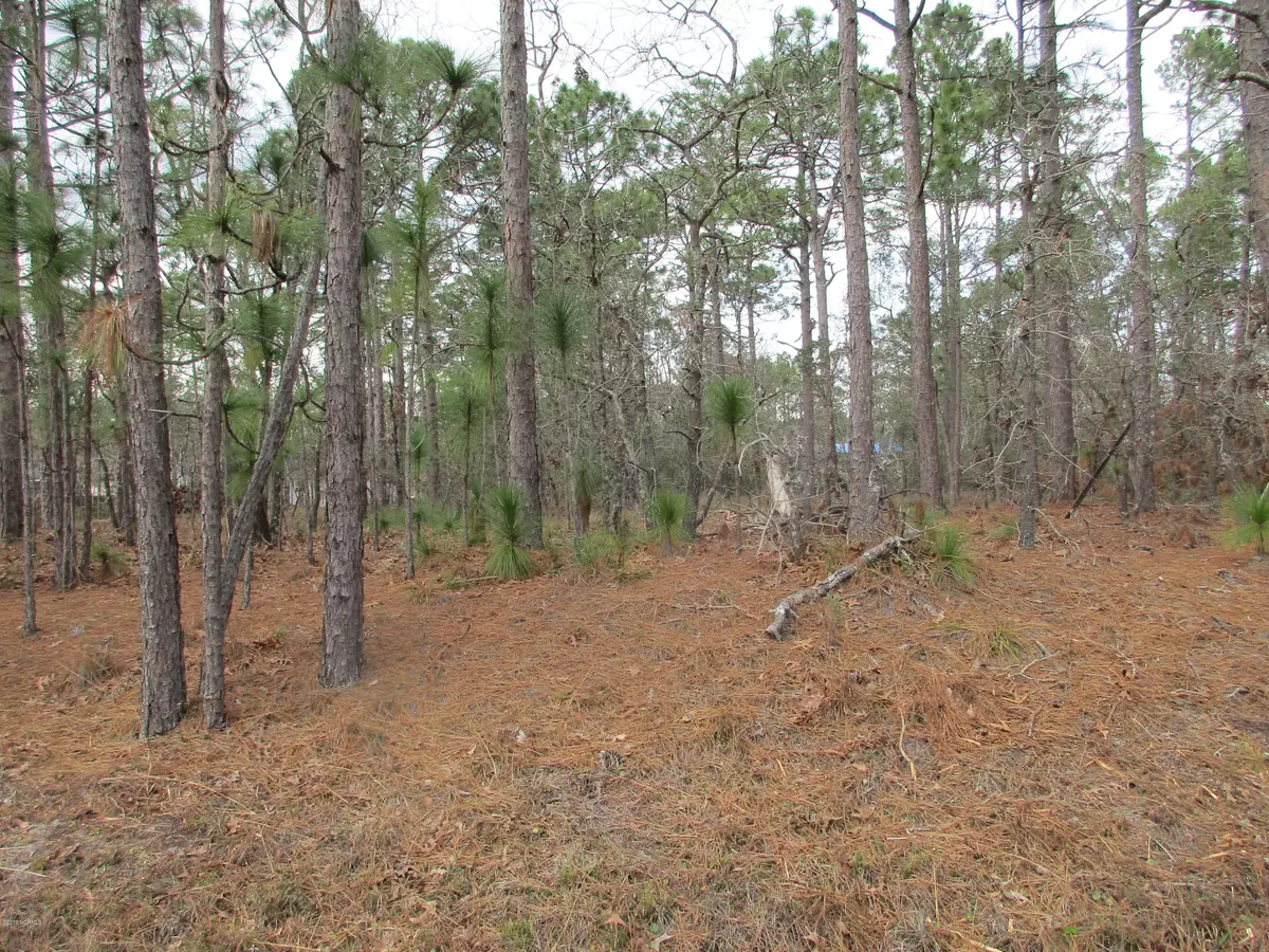 Southport, NC 28461,171 E Boiling Spring RD