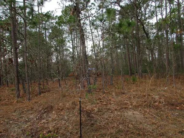 Southport, NC 28461,171 E Boiling Spring RD