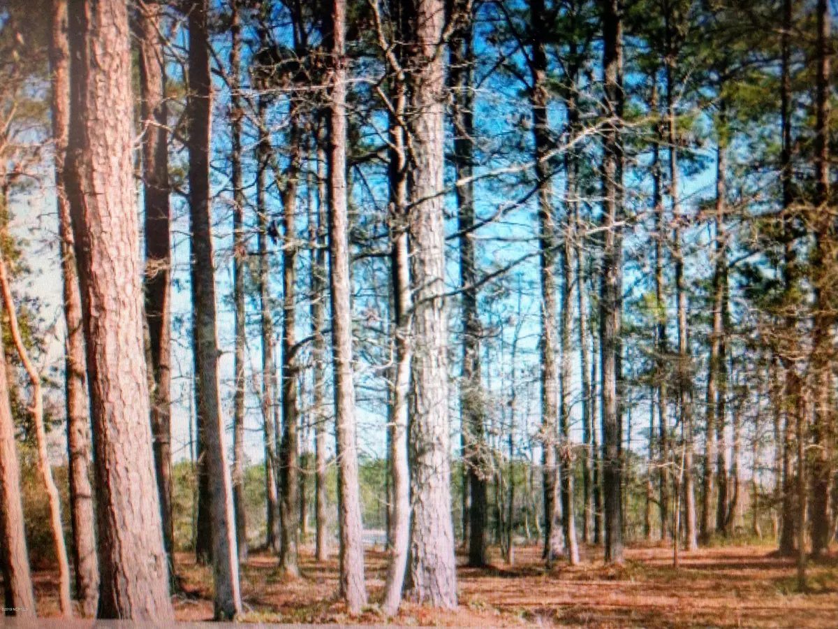 Ocean Isle Beach, NC 28469,5846 Biltmore PL SW