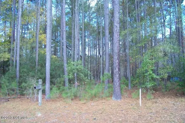 Washington, NC 27889,Lot 117 Tupelo LN