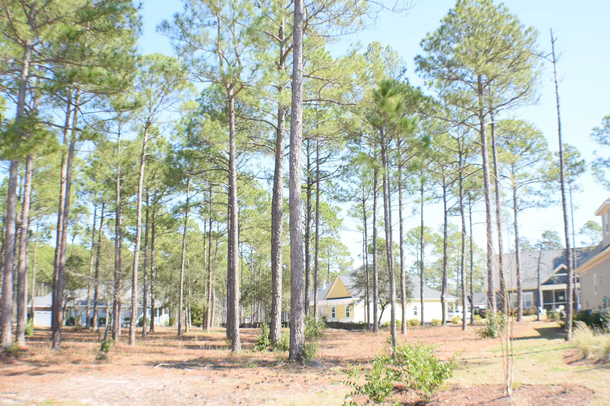 Sunset Beach, NC 28468,407 Planters Ridge DR