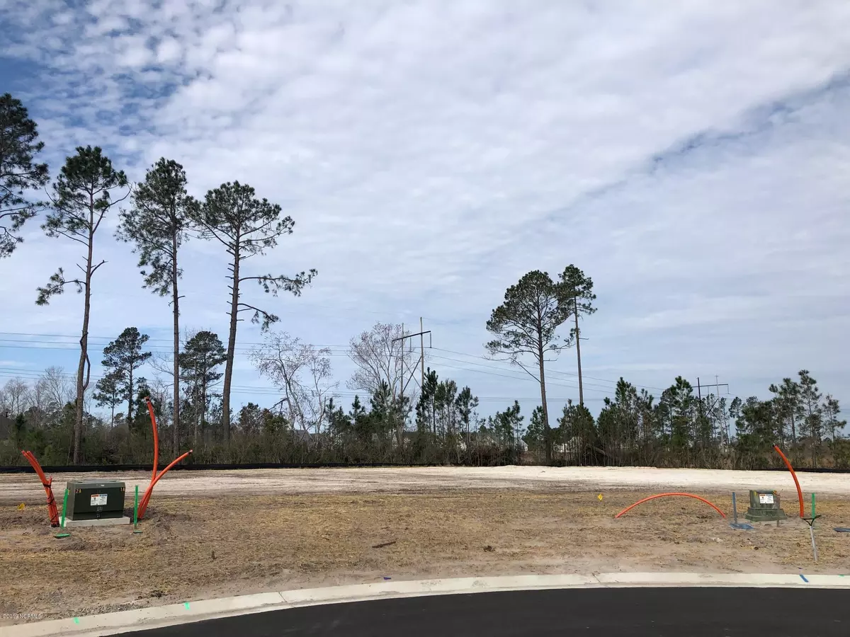Leland, NC 28451,8440 Fontana Lake CT