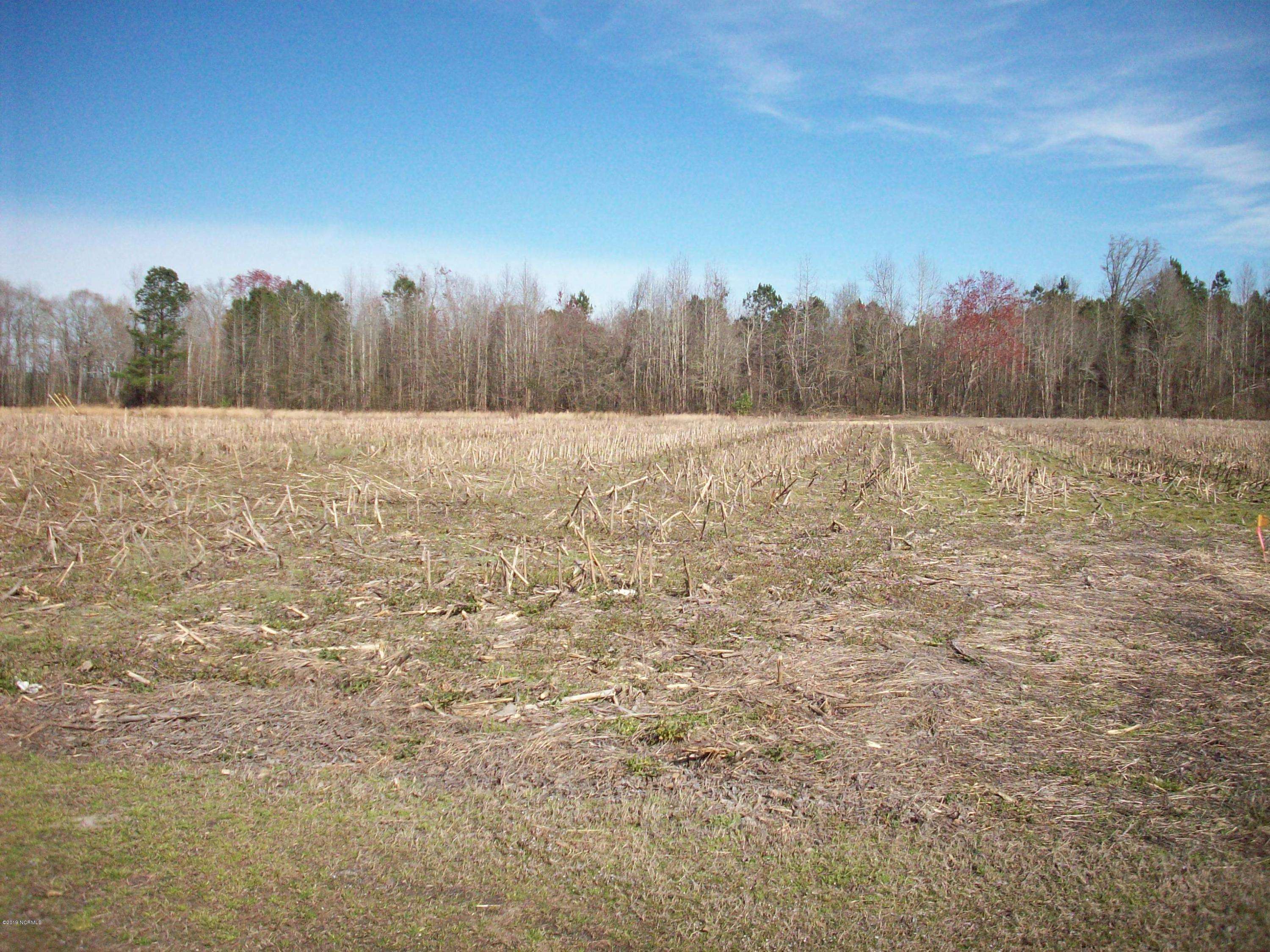 Lumberton, NC 28358,1933 Lovette RD