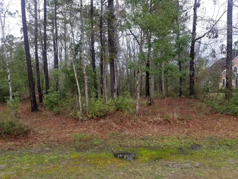 Lot 78r Royal Tern DR, Hampstead, NC 28443