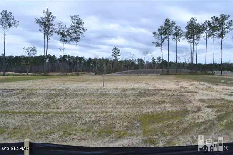 Leland, NC 28451,7104 Pungo Lake CT
