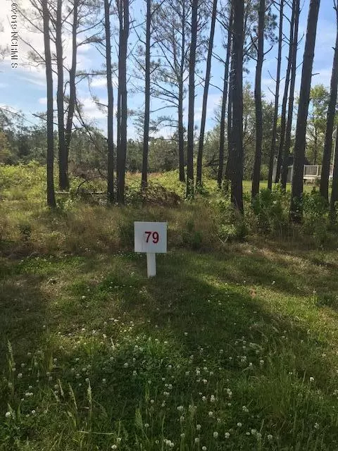 1214 Woods CT, Morehead City, NC 28557